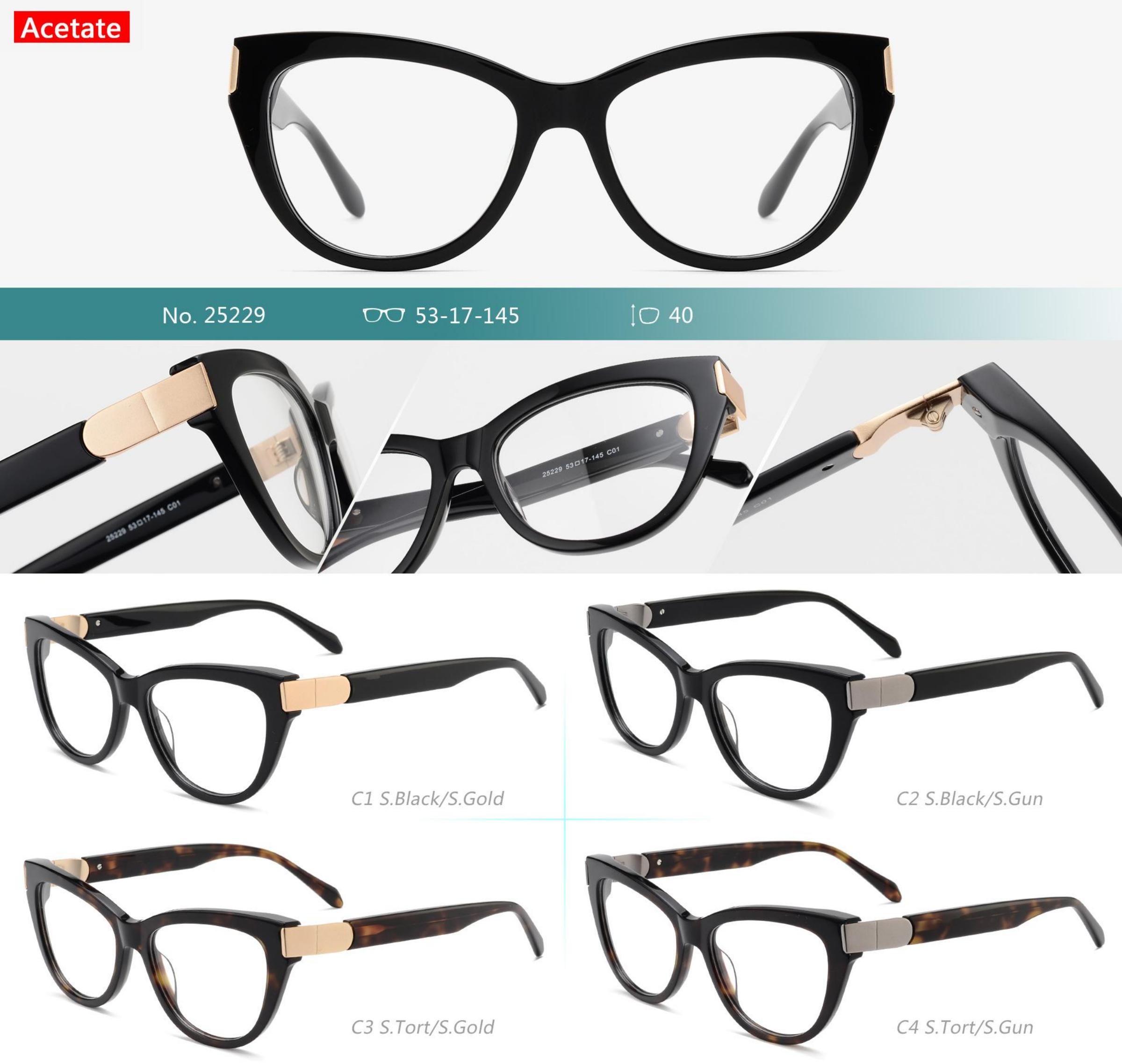 25229